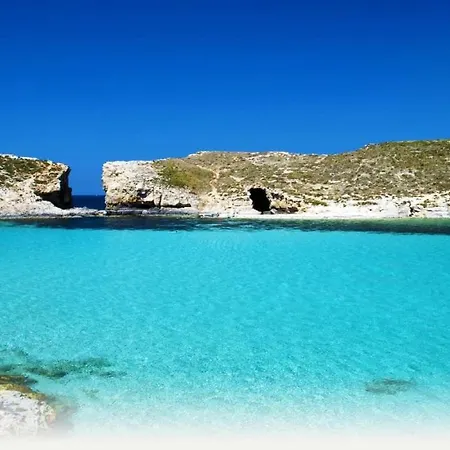 Apartment Luxury With Balcony, Area *